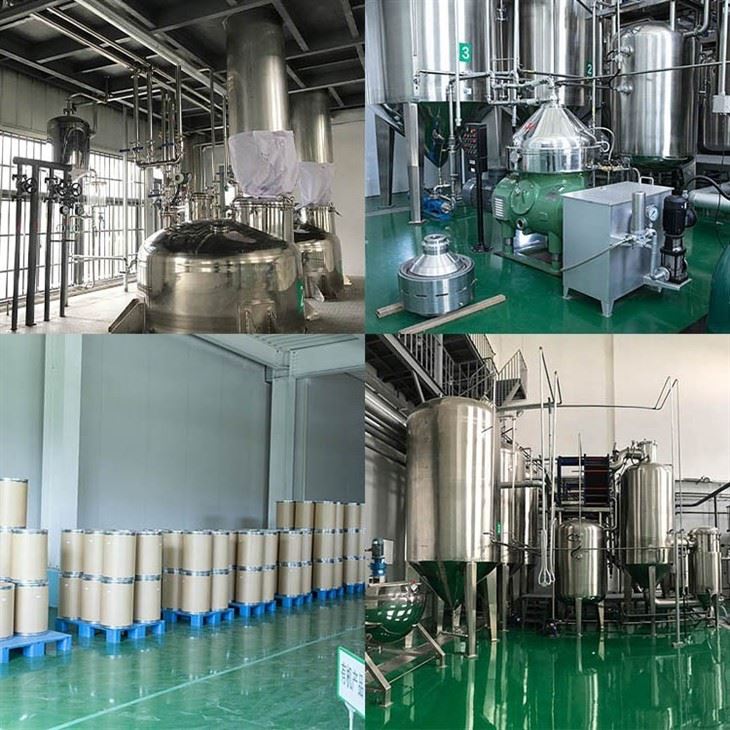 Magnolia Extract 98 factory